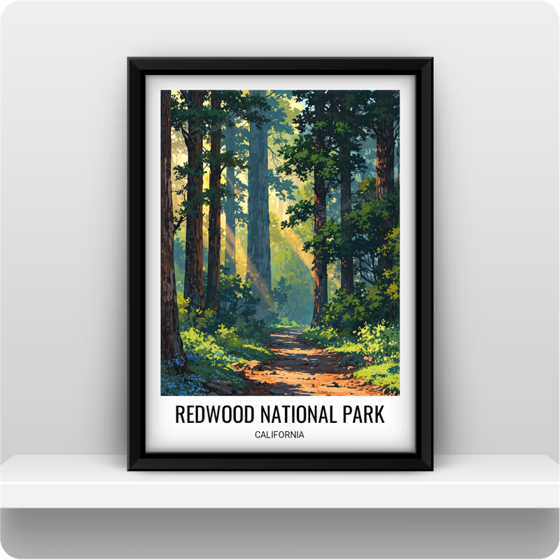 Redwood National Park, California, US