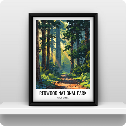 Redwood National Park, California, US