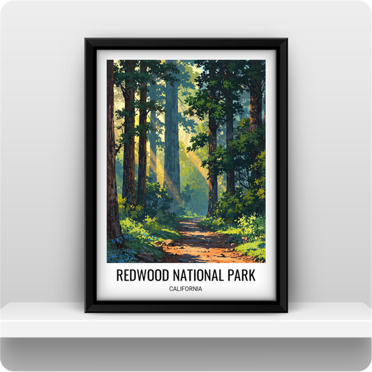 Redwood National Park, California, US
