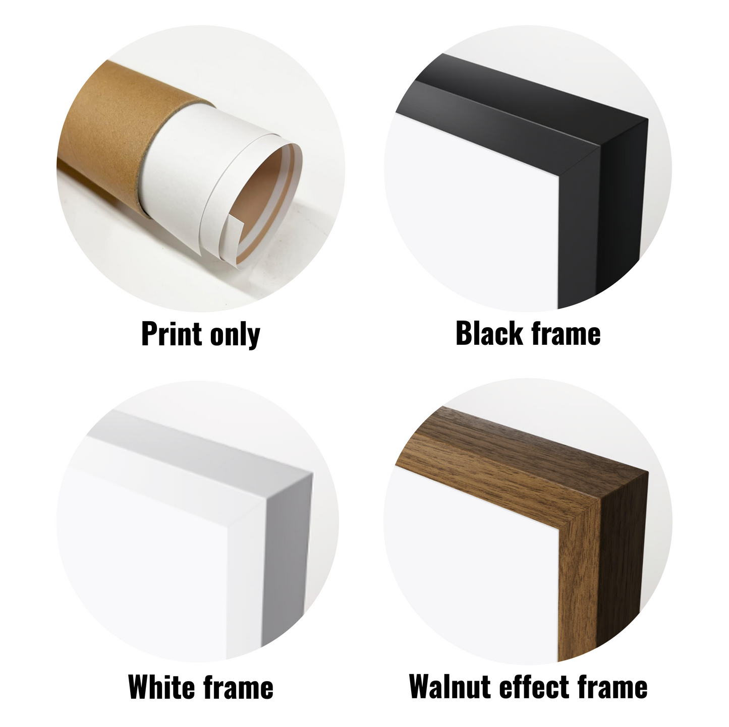 Essaouira, Morocco, Africa & Middle East