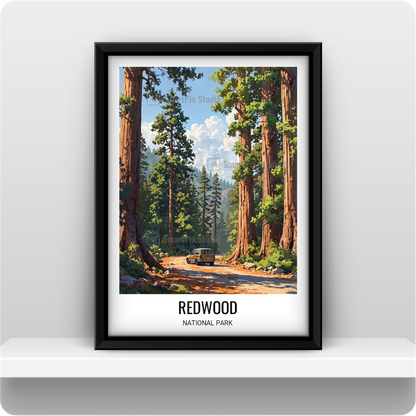Redwood National Park, US